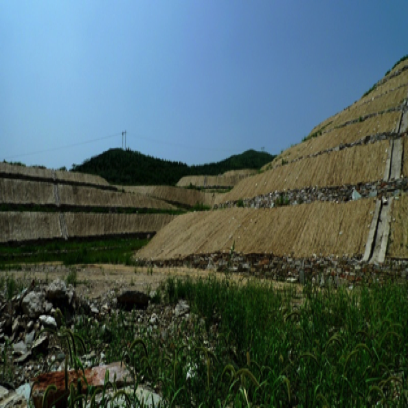 边坡生态修复设计与施工
Design & construction for slope ecological restoration